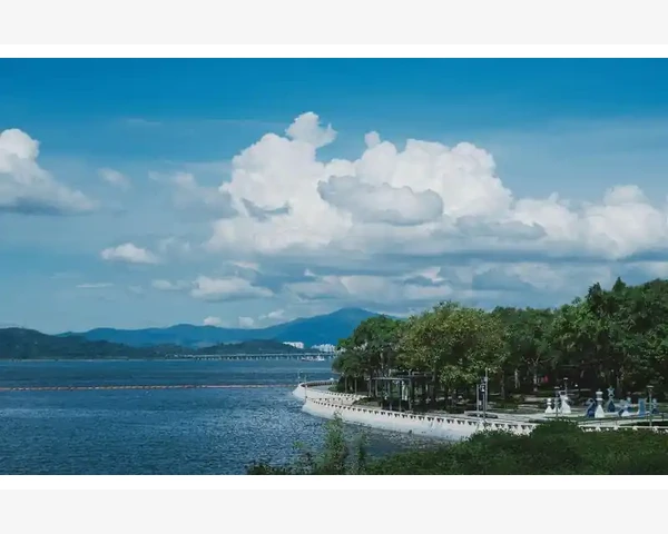 B2B登录常见问题与解决技巧