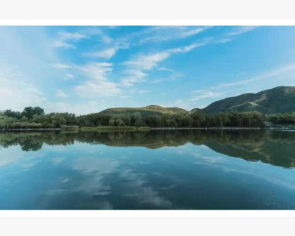 反胃脾胃虚烧心:如何调理脾胃恢复健康